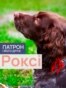 DOGS_ROXY_PORT